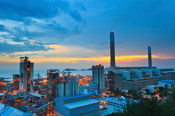 Lĩnh vực hoạt động